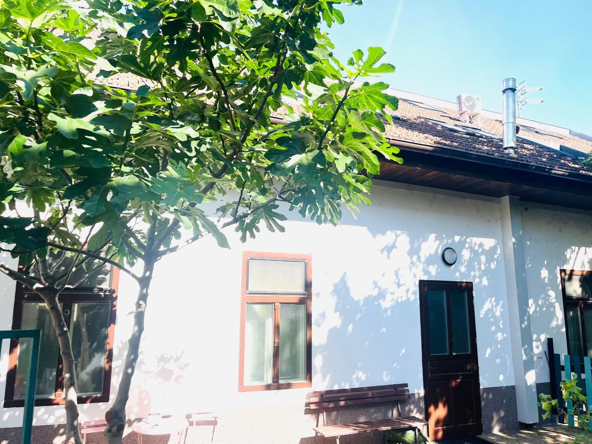 Komárno Jokai Apartman מראה חיצוני תמונה